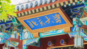 北京大學區(qū)域經(jīng)濟發(fā)展與中國企業(yè)家高端研修班（三期）
